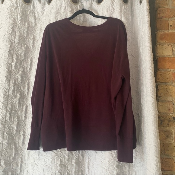 EVERLANE 100% Cashmere Burgundy V-Neck Sweater Pullover - Picture 4 of 6